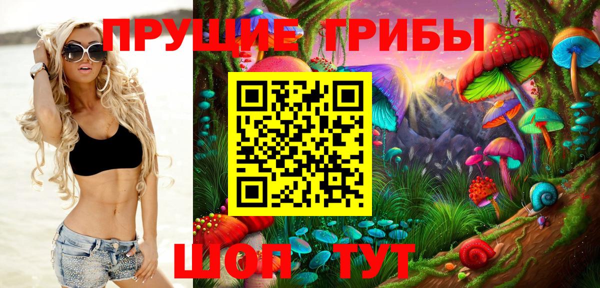 Галлюциногенные грибы Psilocybe Жигулёвск