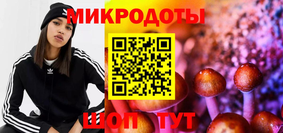 Жигулёвск  Галлюциногенные грибы мухоморы  Вход с VPN  Галлюциногенные грибы прущие грибы 
